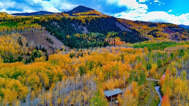 view of mountain feature