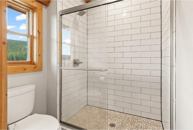 bathroom with toilet and a shower with shower door