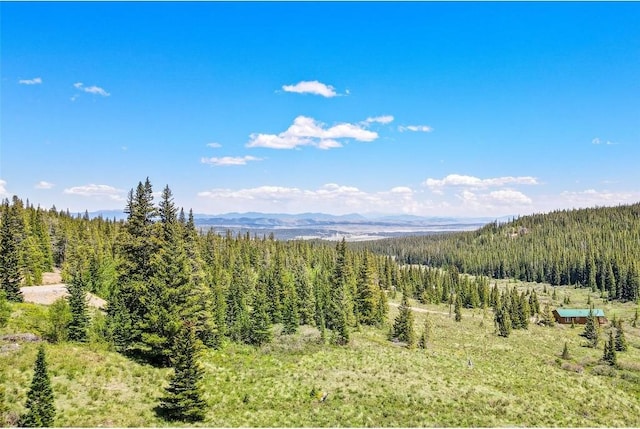 bird's eye view with a mountain view