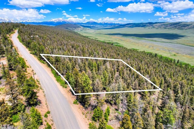 Listing photo 2 for LOT262 Middle Fork Vis, Fairplay CO 80440