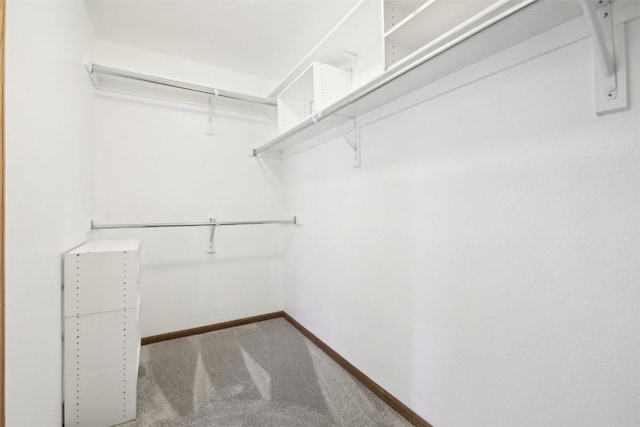 walk in closet with carpet