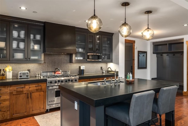 kitchen with sink, tasteful backsplash, a kitchen island with sink, appliances with stainless steel finishes, and custom exhaust hood