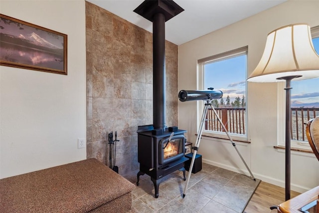 interior details with a wood stove