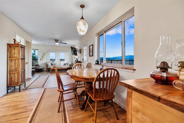 dining area featuring ceiling fan, a healthy amount of sunlight, and wood-type flooring