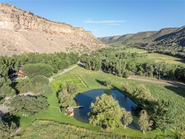 birds eye view of property featuring a rural view and a water and mountain view