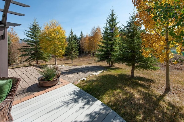 view of yard with a patio