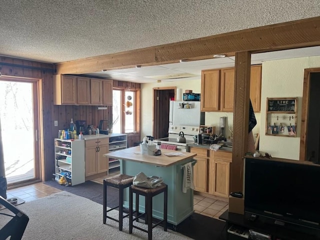 kitchen with plenty of natural light, light tile patterned flooring, and wood walls