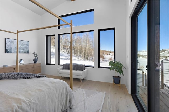 bedroom featuring light hardwood / wood-style floors and vaulted ceiling