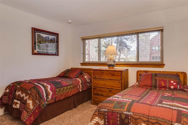 carpeted bedroom with multiple windows