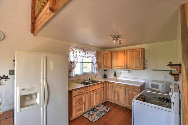 kitchen featuring wood-type flooring, white appliances, and sink