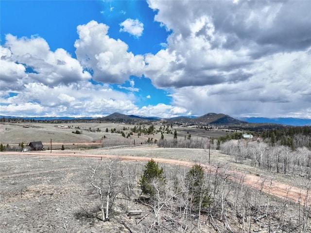 1087 Kite Ct, Como CO, 80432 land for sale