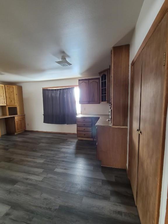 kitchen with dark wood-type flooring