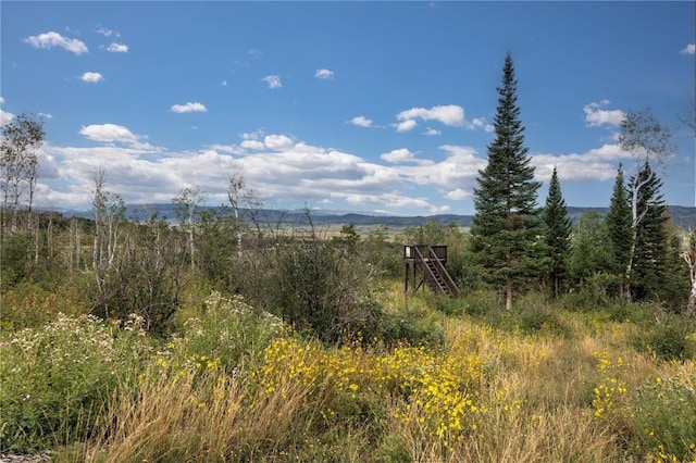 Listing photo 3 for 34905 Rockledge Rd, Steamboat Springs CO 80487