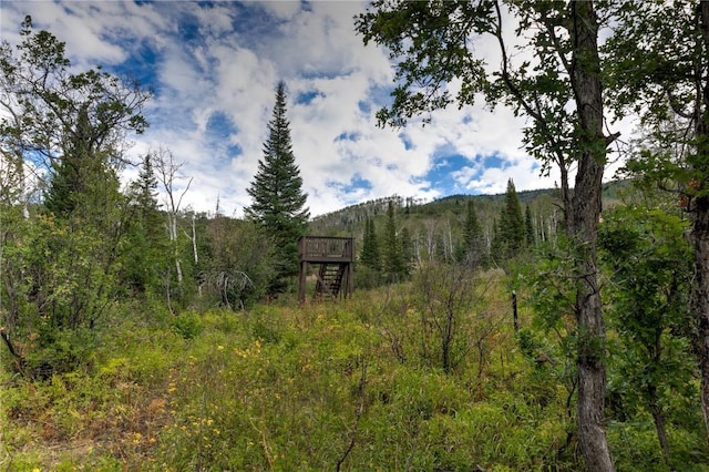 Listing photo 2 for 34905 Rockledge Rd, Steamboat Springs CO 80487