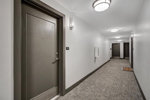 hallway featuring carpet floors