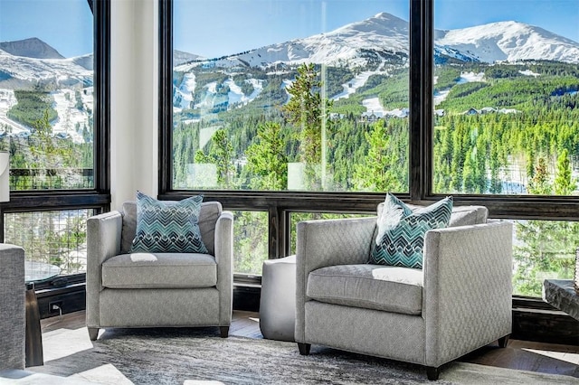 sunroom / solarium featuring a mountain view and a healthy amount of sunlight