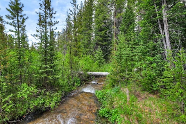 view of local wilderness