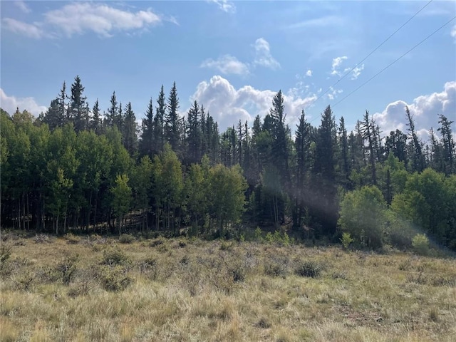 491 W Longbow Dr, Como CO, 80432 land for sale