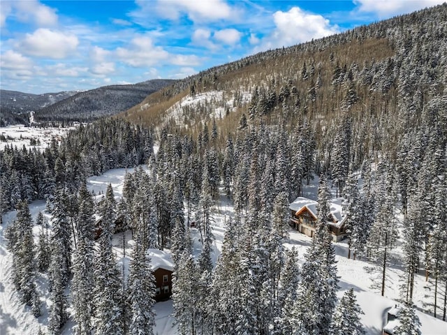 snowy aerial view with a mountain view