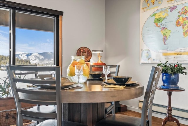 dining room featuring wood finished floors, a mountain view, baseboard heating, and baseboards