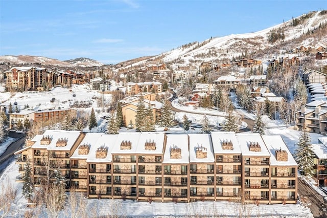 snowy aerial view featuring a mountain view