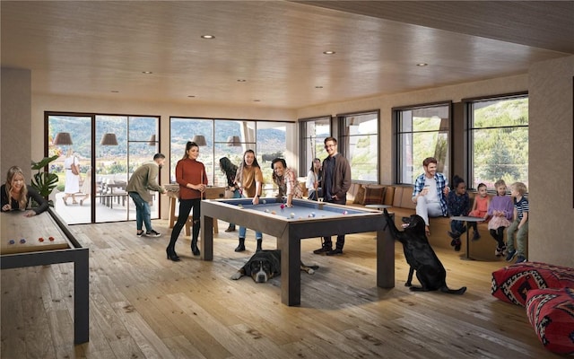 playroom featuring light wood-type flooring and pool table