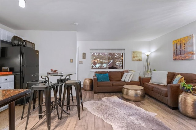 living room with light hardwood / wood-style flooring