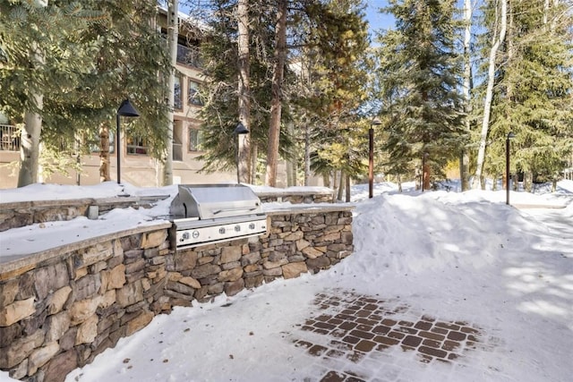 yard covered in snow with area for grilling