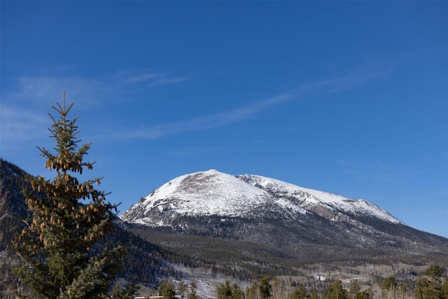 view of mountain feature