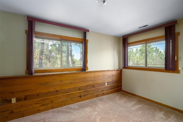 empty room with plenty of natural light, wood walls, and carpet flooring