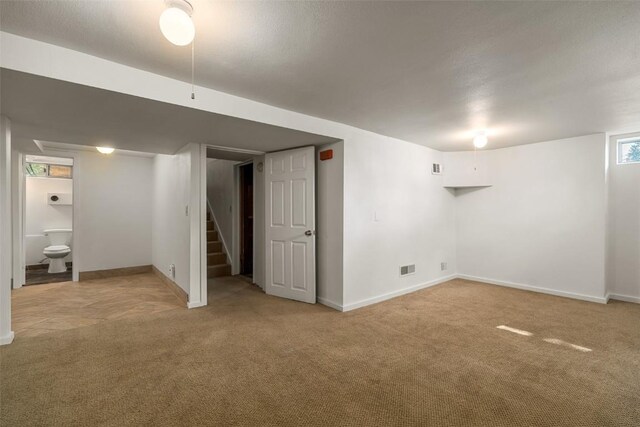 basement with light colored carpet