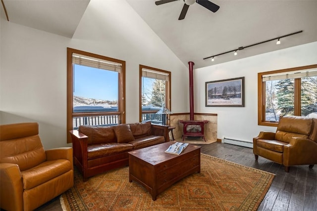 living room with dark wood-type flooring, rail lighting, baseboard heating, vaulted ceiling, and a wood stove