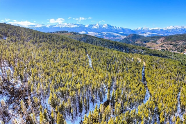 653 Summit Gulch Rd, Breckenridge CO, 80424 land for sale