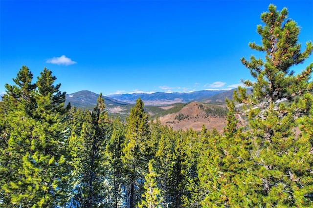 Listing photo 3 for 653 Summit Gulch Rd, Breckenridge CO 80424