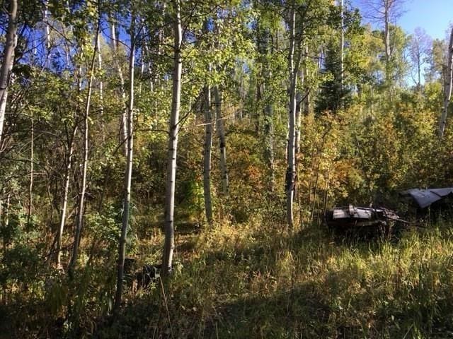 t/b/d Rcr 24 Road, Steamboat Springs CO, 80487 land for sale