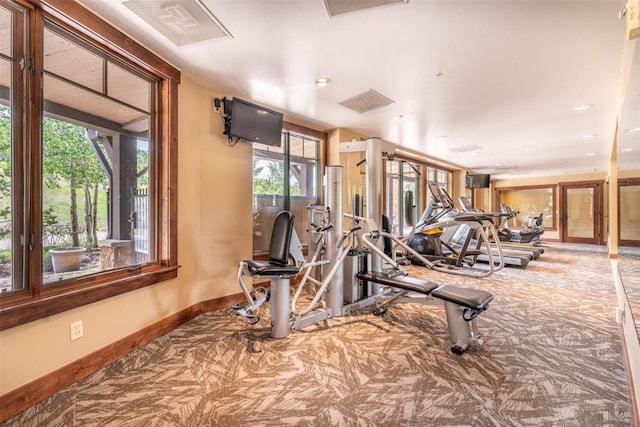 exercise room with carpet and plenty of natural light