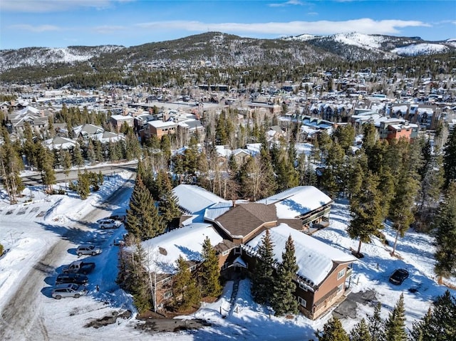 snowy aerial view featuring a mountain view