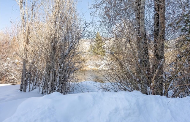 view of snowy yard