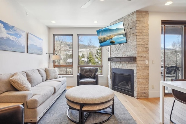 living room with a fireplace and light hardwood / wood-style flooring