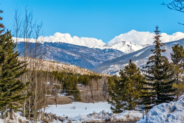 mountain view with a wooded view