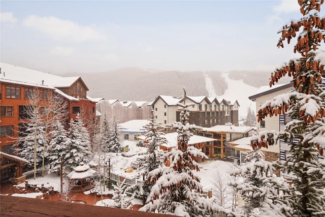 yard layered in snow with a mountain view and a residential view