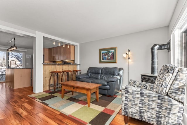 living room with hardwood / wood-style flooring, a wealth of natural light, and a wood stove