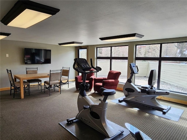 workout area featuring carpet flooring, baseboards, and a textured ceiling