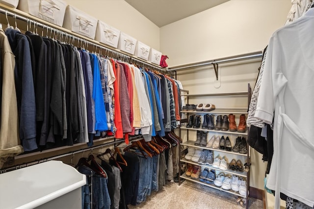 walk in closet with carpet flooring