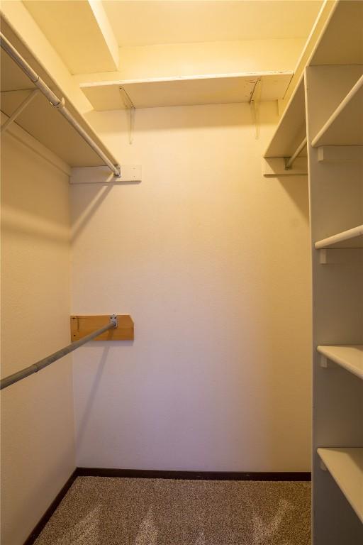 walk in closet with carpet flooring