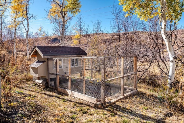 view of poultry coop