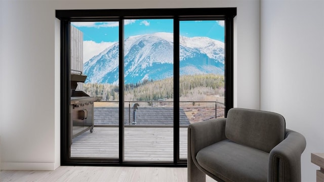 entryway with a mountain view and light wood-type flooring