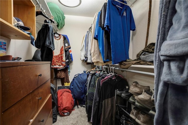 spacious closet featuring carpet flooring