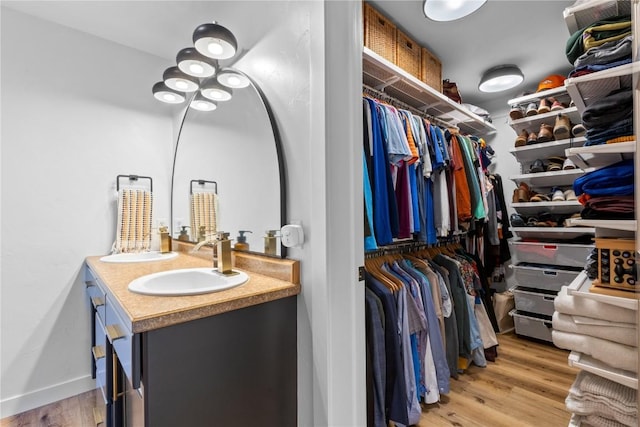 bathroom with wood-type flooring and vanity