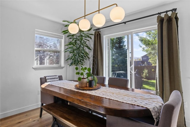 dining room featuring hardwood / wood-style flooring and a wealth of natural light